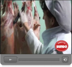 Cliqui aqu� per veure el video
